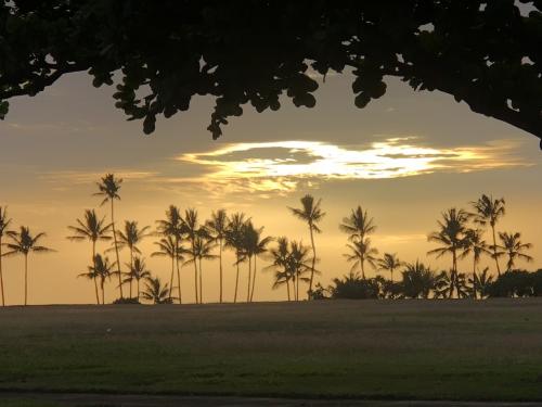 帰ってきたよ! ファミ旅ハワイ! パート2 【3日目】