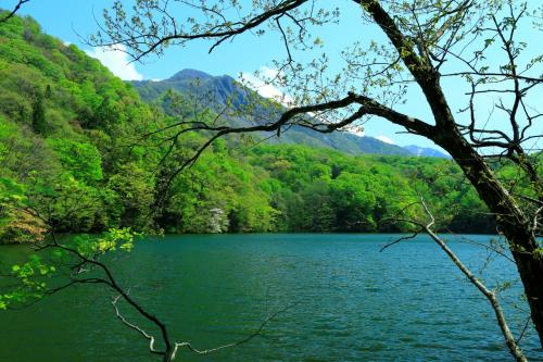 新緑に癒された5月の東北旅行（１）緑がまぶしい十二湖ハイキング　