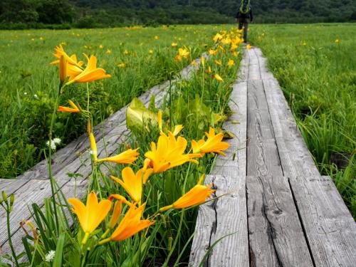 新幹線で行く地上の楽園尾瀬、一泊二日　鳩待IN、OUT　赤田代温泉小屋泊