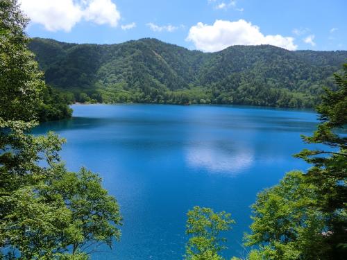 夏の志賀高原一人旅　(2日目）　池巡りハイキングコース