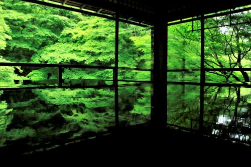青もみじを求めて京都ひとり旅　（２）念願の瑠璃光院と雨煙る緑の大原