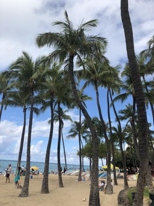 帰ってきたよ! ファミ旅ハワイ! パート2 【最終日】