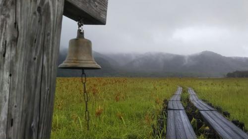 二度と行きたくないけど、又行きたくなる。尾瀬の魅力に取りつかれ大雨の中ハイキング