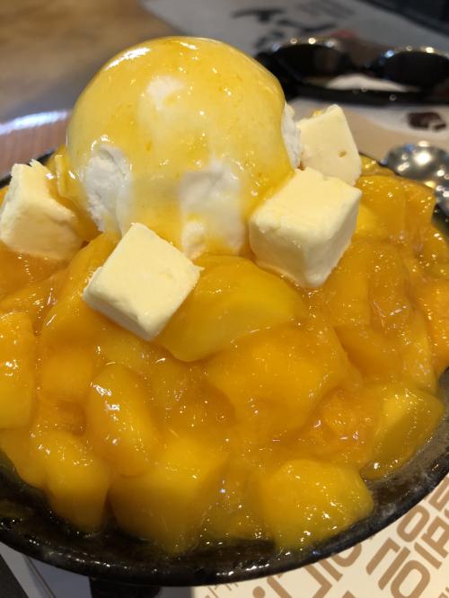 【3】しばお合格記念☆韓国KTX爆走(*´꒳`*)デリム編