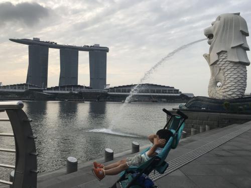 2018夏　シンガポール　トランジット(乗り継ぎ)　11時間観光　動物園&amp;ナイトサファリ
