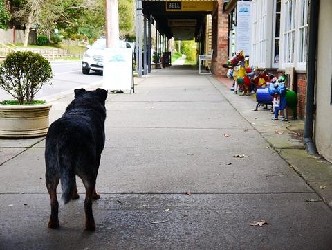 メルボルン旅行記　その３