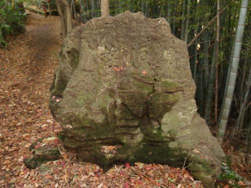 鎌倉天園・日源荘