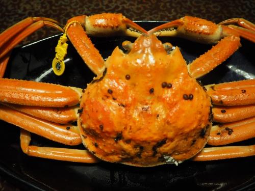 2018年12月 蟹を食べに福井へ ～ 二度目の「料理宿 やまざき」リベンジせいこ蟹♪
