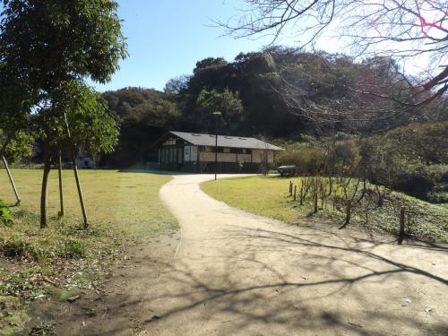 鎌倉広町緑地－2018年秋