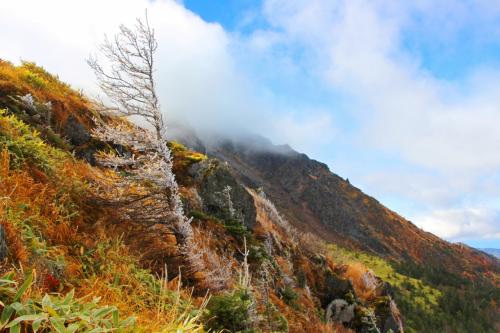 刹那の氷花 -焼岳に揺れる幻秋-【暮秋の上高地】