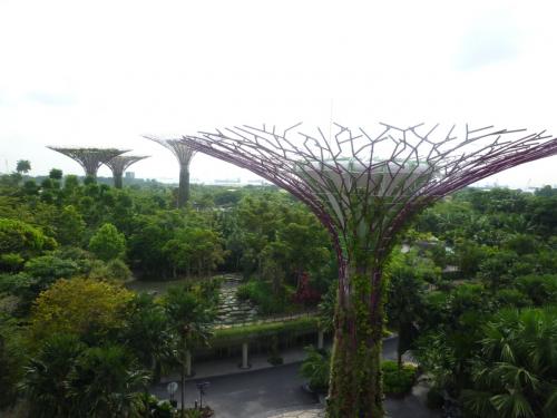 大都市と自然が融合した都市国家シンガポールの旅