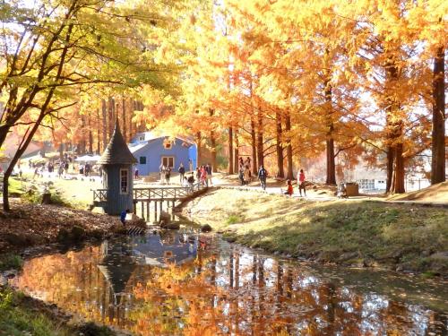 ムーミン谷に秋が来た☆紅葉の「あけぼの子どもの森公園」