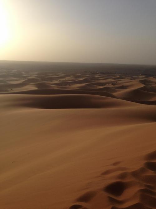 モロッコサハラ砂漠