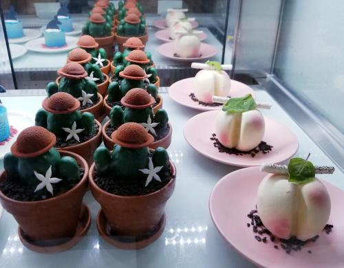 ソウル明洞ひとり旅　体調最悪！の明洞での過ごし方