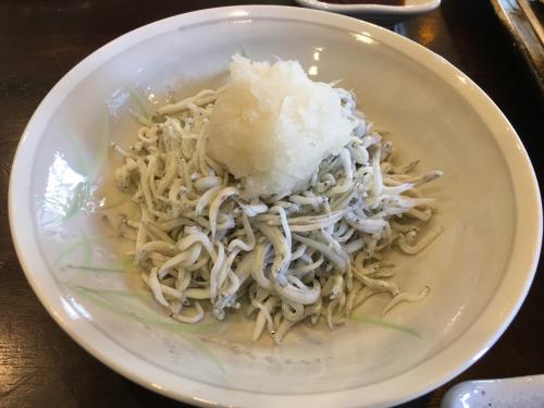 【日帰り旅】篠島でしらす丼を食べる旅（2018.5.12）
