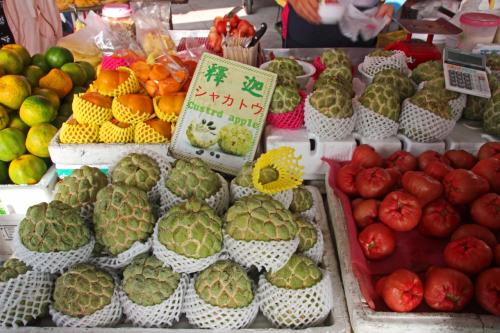 2017台湾周遊4日間