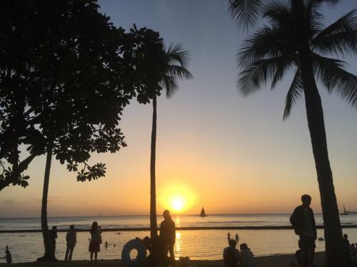 ブラックフライデー☆