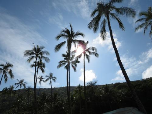 特典航空券＆ヒルトン無料宿泊3泊分でハワイへ～２日目