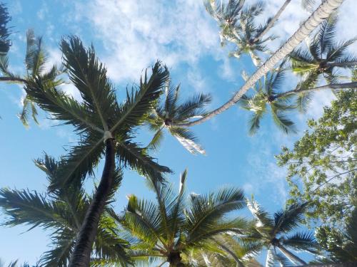 長女１０歳　長男４歳　初の個人手配でハワイへ行ってみた　６日目