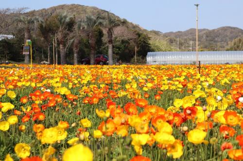 【千葉】房総1泊2日 海とホテル最高！