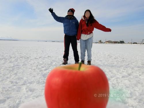 2019 爺とお嬢の北海道 リンゴに乗ったょ　　　(o＾―＾o)ﾆｺｯ