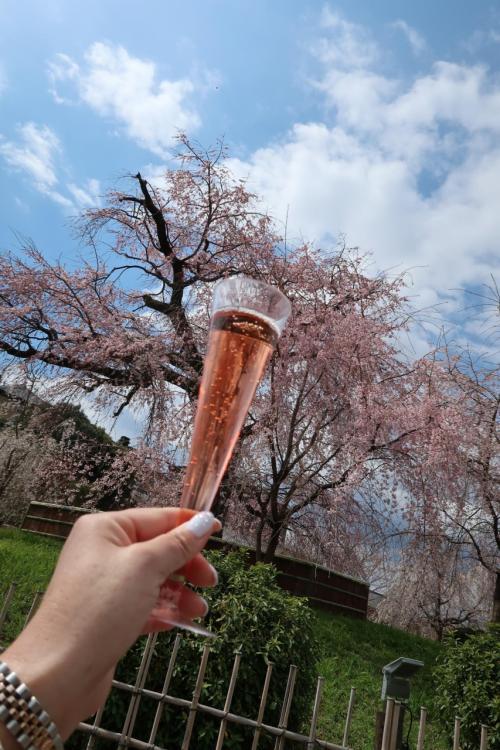 ２０１９年３月　一本の枝垂れ桜に魅せられて♪（観光編）～「高台寺」～「円山公園」～「本満寺」～「平野神社」～