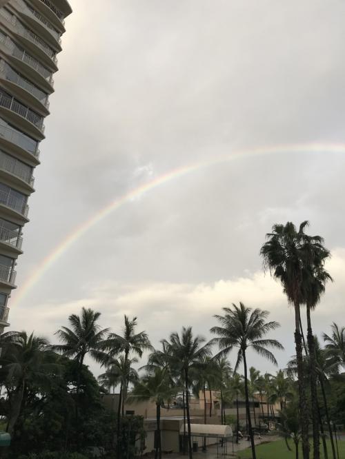 JAL特典航空券ビジネスクラスで行く３世代ハワイ旅行 －６日目・帰国日・お土産編－