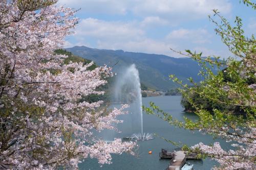 二万本の桜と人吉グルメ！ちょっとおまけドライブ旅