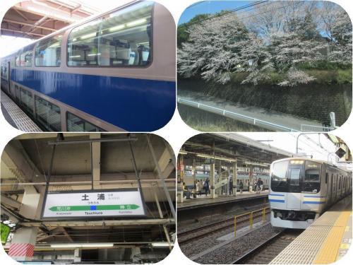 青春18きっぷで日帰りグリーン車旅（後）土浦に着いたらとんぼ返り。車窓の桜は満開！