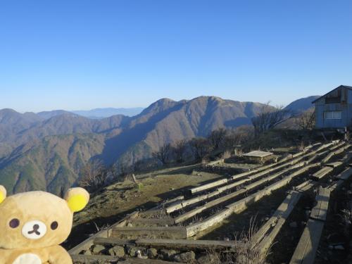 神奈川県　最高峰目指すクマ。塔ノ岳→蛭ヶ岳