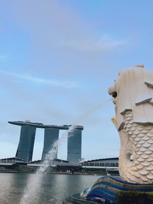 息子6歳GWは憧れのマリーナベイサンズのあるシンガポールで過ごすぞ♡6歳子連れシンガポールの巻