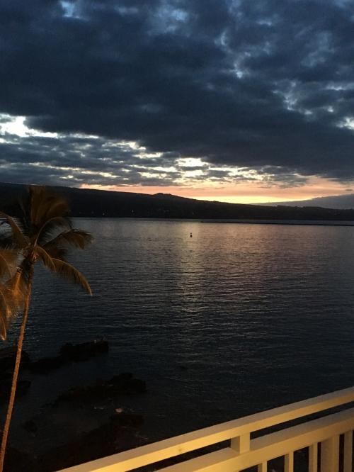 ハワイ島 - ヒロ編 5歳と0歳6カ月 子連れ海外旅行