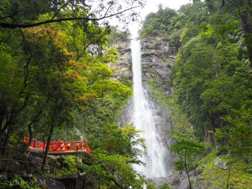【軽キャン旅】ＧＷ 和歌山満喫の旅〈６〉那智勝浦でマグロ＆那智の滝