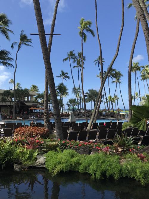 LCCエアアジアで行くhawaii 2018.7月 ⑥ ヒルトン村を満喫…夜はチャックスセラーへ