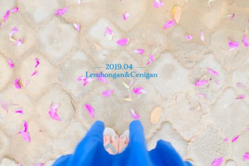 2019.04 魅惑の離島★Lembongan/Cenigan/Penida trip　３　［レンボンガン+チュニガン編］