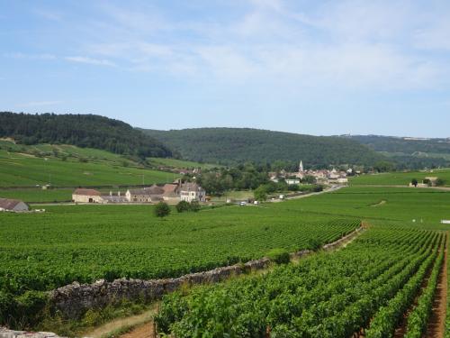 フランス アルザス、ブルゴーニュ地方のワインツアーとパリ(4) ブルゴーニュ地方 ボーヌ 半日ワインツアー