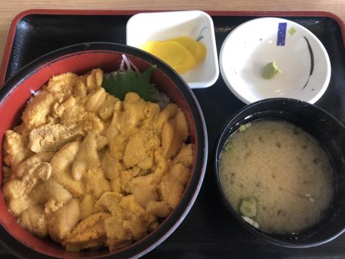 夏休み！北海道でウニを食べるぞ！！