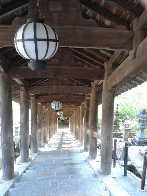 陽春の奈良観光②長谷寺