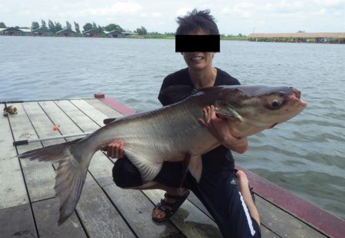 タイ　バンコク釣行記(ブンサムラン）　2019　