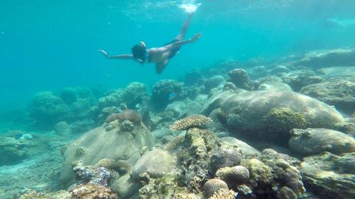シュノーケル好き必見！！  抜群に綺麗な海を誇るマレーシアの秘島 プルフンティアン島
