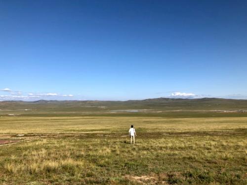 2019年 モンゴル旅行 大草原の地平線と星空満喫の旅