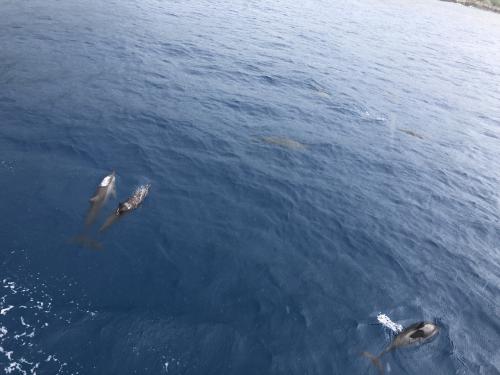 ３才の姪とグアム