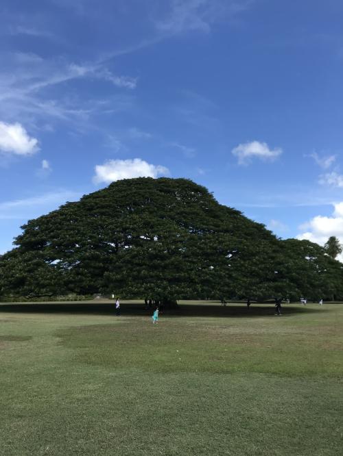 2019年　5歳　子連れハワイ旅行記　3泊5日　３世代旅行