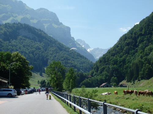 2019夏のスイス旅【５３】ゼーアルプゼーからヴァッサーラウエンへ