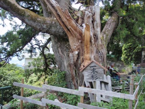 一本杉登山(2)　京都一周トレイル東山コースを歩く