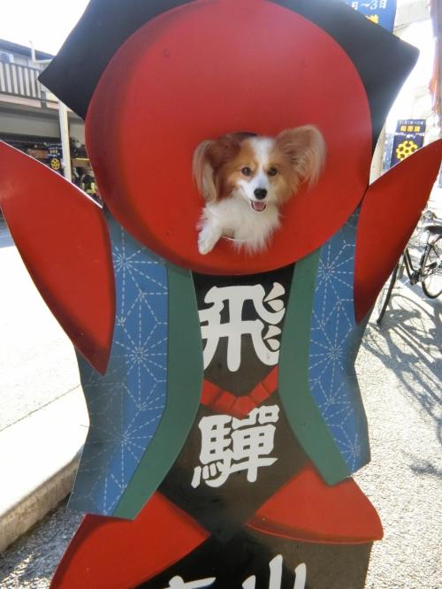 ①東京から飛騨高山へ_秋の3連休パピヨンみっくの犬旅