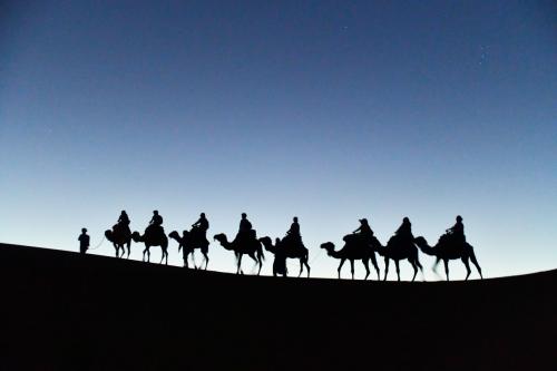 モロッコ写真旅行(3)　フェズからサハラ砂漠へ