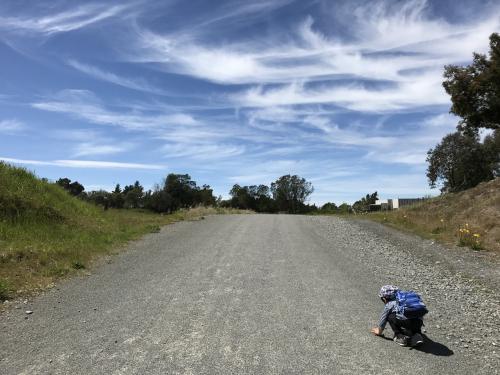 ３歳児連れニュージーランド