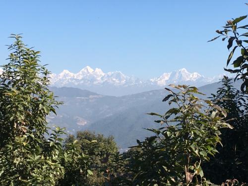 ネパール７日間の旅5日目前半～ハイキングをしながら世界遺産チャングナラヤン寺院へ向かうの巻～