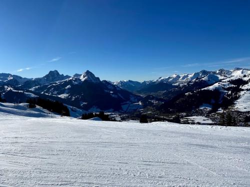 スイスのセレブなスキーリゾート・グシュタードで１泊2日スキー旅行